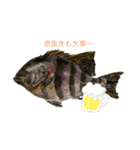 パパのイラスト魚（個別スタンプ：3）