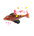 パパのイラスト魚（個別スタンプ：7）