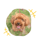 Rui's Life stamp（個別スタンプ：6）