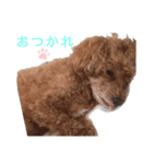 Rui's Life stamp（個別スタンプ：7）