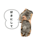 ベベのスタンプ（個別スタンプ：17）