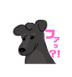 ミニチュアシュナウザーのソル君(オタ用語)（個別スタンプ：7）