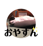 プピロコ5（個別スタンプ：2）