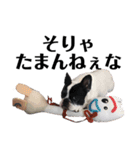 プピロコ5（個別スタンプ：6）
