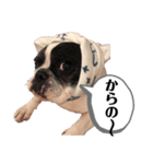 プピロコ5（個別スタンプ：10）