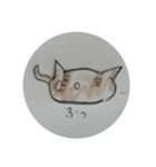 半分煽る猫(*ΦωΦ*)（個別スタンプ：6）