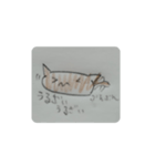 半分煽る猫(*ΦωΦ*)（個別スタンプ：9）