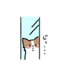 夏のここあさんスタンプ（個別スタンプ：2）