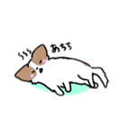 夏のここあさんスタンプ（個別スタンプ：3）