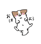 夏のここあさんスタンプ（個別スタンプ：4）