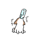 夏のここあさんスタンプ（個別スタンプ：5）