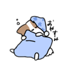 夏のここあさんスタンプ（個別スタンプ：6）