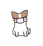 夏のここあさんスタンプ（個別スタンプ：8）
