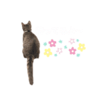 ルナたんスタンプ（個別スタンプ：4）