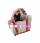 ぽてち日和（個別スタンプ：1）