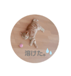 ぽてち日和（個別スタンプ：3）