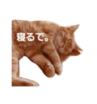 ぽてち日和（個別スタンプ：4）