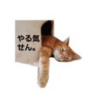 ぽてち日和（個別スタンプ：5）