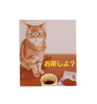 ぽてち日和（個別スタンプ：7）