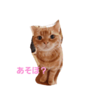 ぽてち日和（個別スタンプ：8）