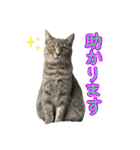 めんみ＆さらみ Ⅱ（個別スタンプ：34）