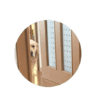 サン君スタンプ（個別スタンプ：4）