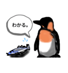 こうていペンギンwith sakana（個別スタンプ：2）