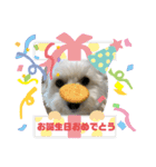 うちの風ちゃん2（個別スタンプ：9）