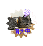 ウチのanimals（個別スタンプ：7）