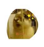 うーたんといつも一緒（個別スタンプ：1）