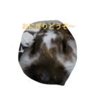 うーたんといつも一緒（個別スタンプ：2）