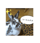 うーたんといつも一緒（個別スタンプ：5）