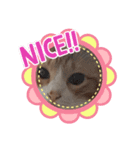 chee1203（個別スタンプ：3）