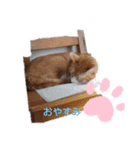 chee1203（個別スタンプ：4）