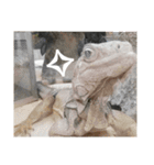 動物たちが受け答え（個別スタンプ：1）