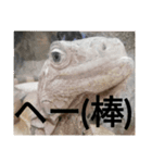 動物たちが受け答え（個別スタンプ：2）