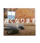 動物たちが受け答え（個別スタンプ：5）