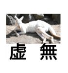 動物たちが受け答え（個別スタンプ：8）