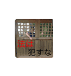 ひえひえ会話の潤滑油（個別スタンプ：13）