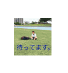 ひえひえ会話の潤滑油（個別スタンプ：33）
