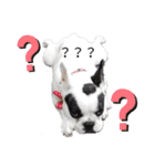 <moco>フレブル（個別スタンプ：2）
