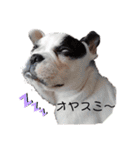 <moco>フレブル（個別スタンプ：3）