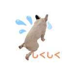 <moco>フレブル（個別スタンプ：11）