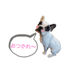 <moco>フレブル（個別スタンプ：18）