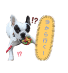 <moco>フレブル（個別スタンプ：23）
