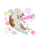 Cocoちゃんにゃんこちゃんスタンプ4（個別スタンプ：2）