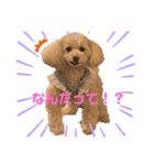 フレとすず（個別スタンプ：1）
