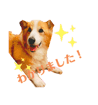 フレとすず（個別スタンプ：2）