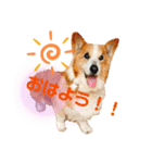 フレとすず（個別スタンプ：3）