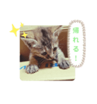 子猫の日常会話②（個別スタンプ：10）